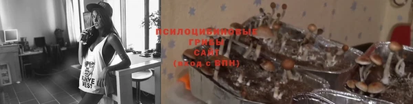 2c-b Армянск