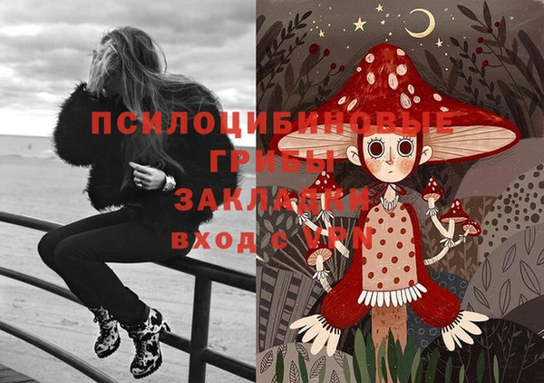 2c-b Армянск