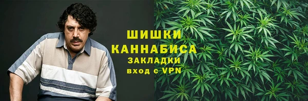 дмт Горнозаводск