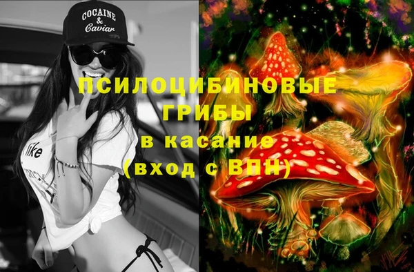 2c-b Армянск